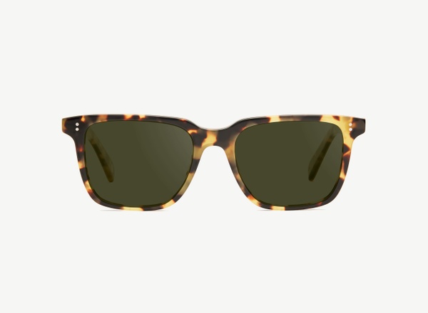 Front view of a pair of eyeglasses called the Leader in Turtle