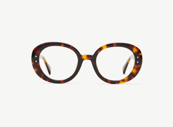 Front view of a pair of eyeglasses called the Collector in Tortoise