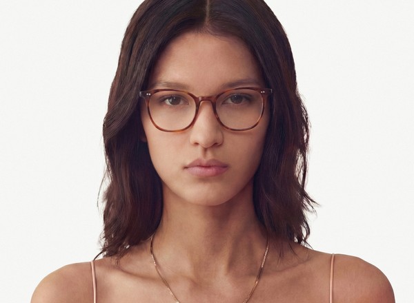 Front view of a pair of eyeglasses called the Pro in Havana