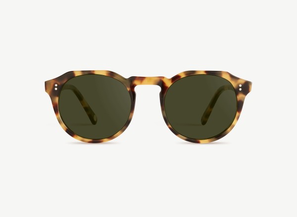 Front view of a pair of eyeglasses called the Sculptor in Turtle