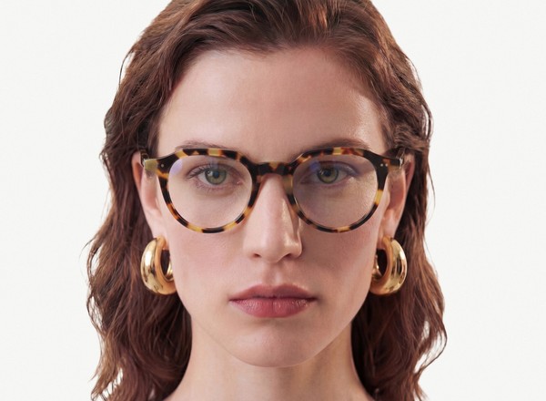 Front view of a pair of eyeglasses called the Director in Turtle