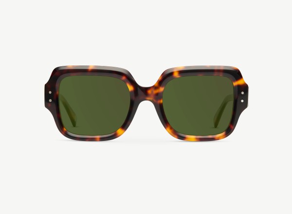 Front view of a pair of eyeglasses called the Provocateur in Tortoise