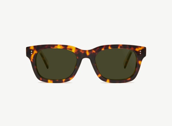 Front view of a pair of eyeglasses called the Partner in Tortoise