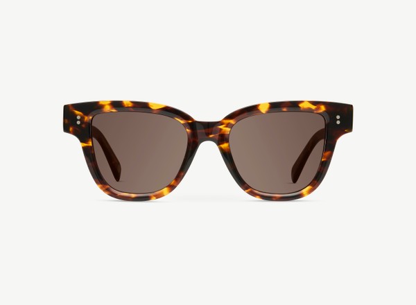 Front view of a pair of eyeglasses called the Singer in Casablanca