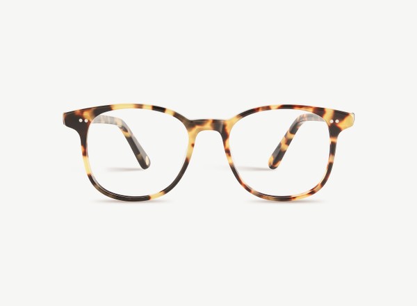 Front view of a pair of eyeglasses called the Wonder in Turtle
