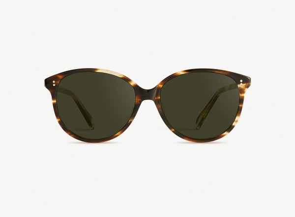 Front view of a pair of eyeglasses called the Stylist in Tobacco