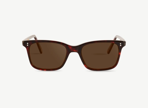 Front view of a pair of eyeglasses called the Thinker in Chocolate