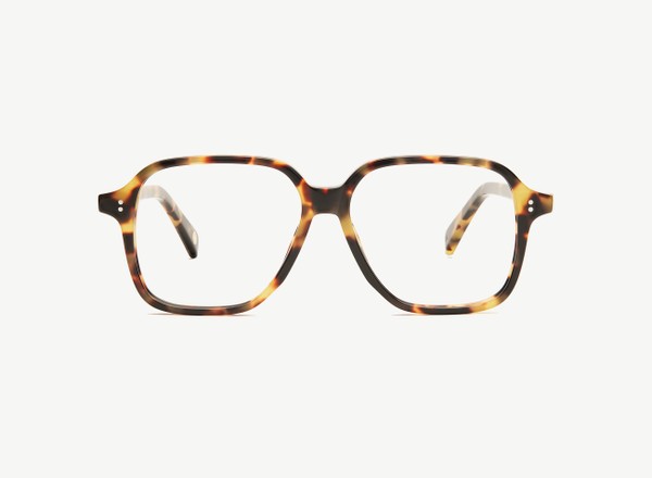Front view of a pair of eyeglasses called the Legend in Turtle