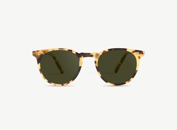 Front view of a pair of eyeglasses called the Parisian in Turtle