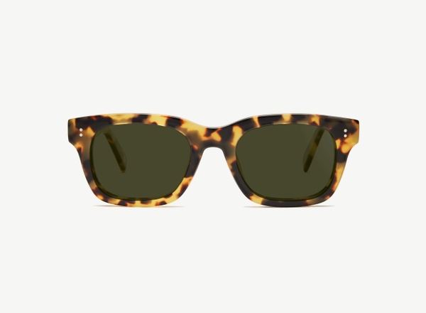 Front view of a pair of eyeglasses called the Partner in Turtle