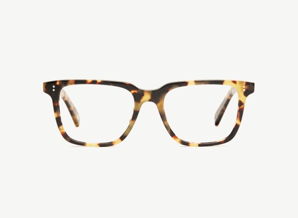 Front view of a pair of eyeglasses called the Leader in Turtle