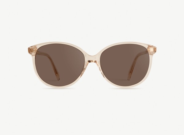 Front view of a pair of eyeglasses called the Stylist in Nude