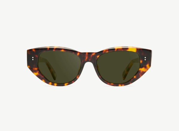 Front view of a pair of eyeglasses called the Rebel in Tortoise
