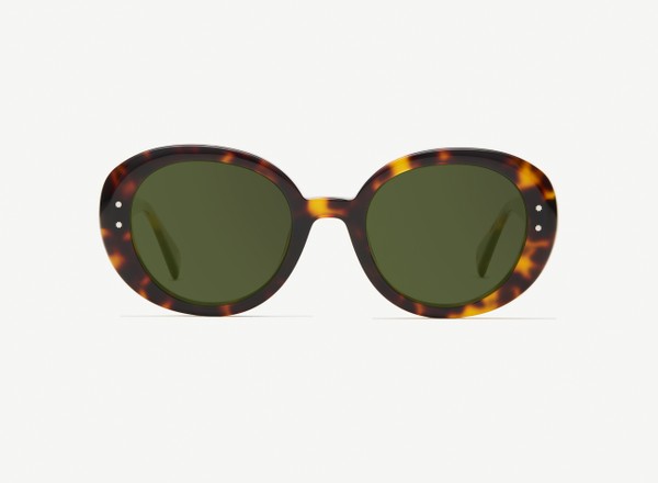 Front view of a pair of eyeglasses called the Collector in Tortoise