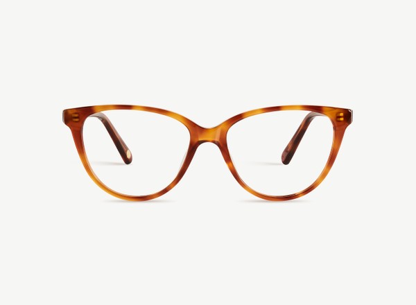 Front view of a pair of eyeglasses called the Cutie in Honey