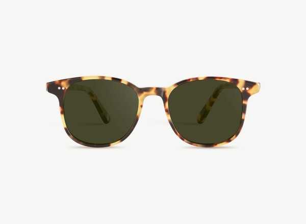 Front view of a pair of eyeglasses called the Wonder in Turtle