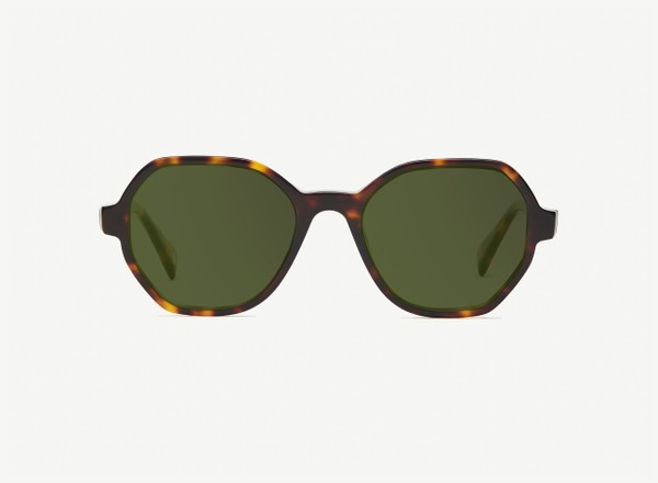 Front view of a pair of eyeglasses called the Storyteller in Tortoise