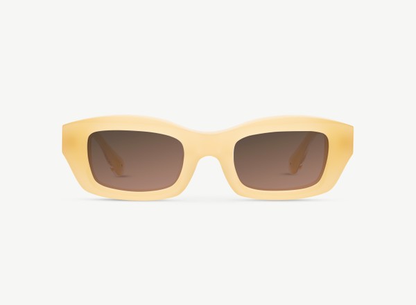 Front view of a pair of eyeglasses called the Enzo in Dune