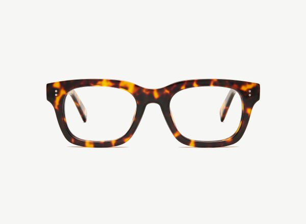 Front view of a pair of eyeglasses called the Partner in Tortoise