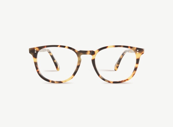 Front view of a pair of eyeglasses called the Pal in Turtle