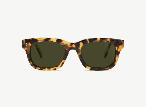 Front view of a pair of eyeglasses called the Partner in Turtle