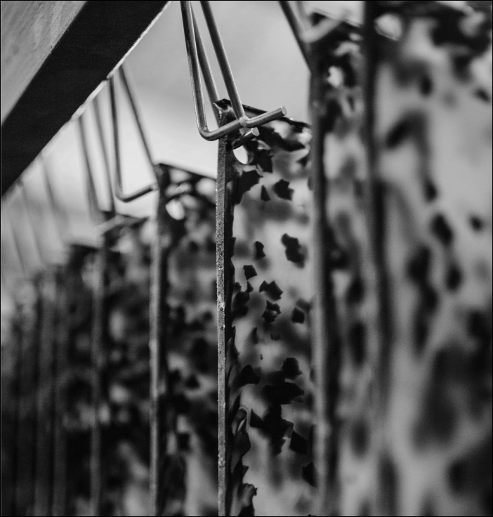 factory.title