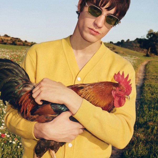 A person in a yellow sweater holds a rooster while standing in a grassy field.
