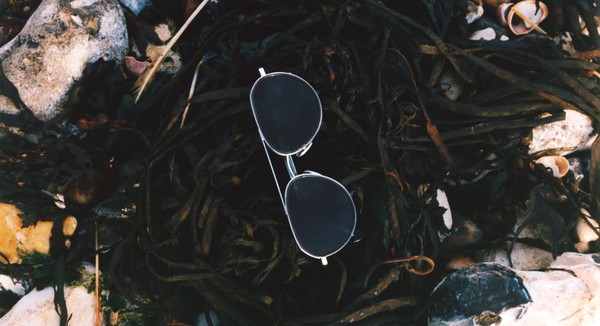 Sunglasses placed on kelp and stones on the shoreline.