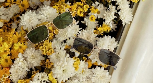 Two pairs of sunglasses placed on a bed of white and yellow flowers.