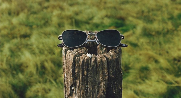 Dark-lens sunglasses perched on weathered wood in a grassy landscape.