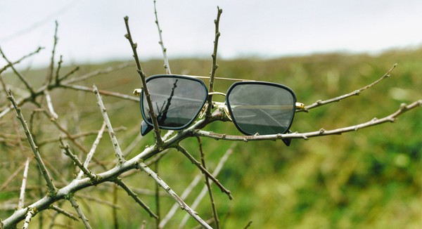 Sunglasses perched on twig branches with blurred green landscape behind.