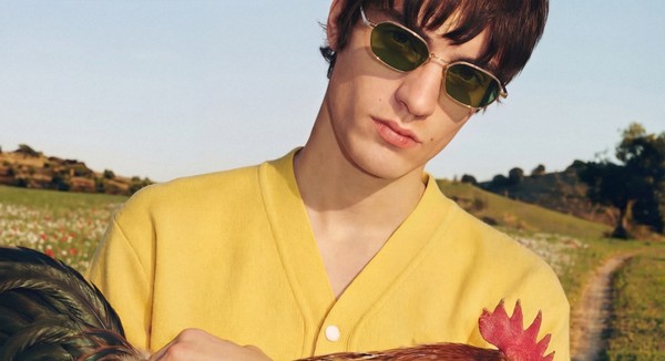 A person in a yellow sweater holds a rooster while standing in a grassy field.