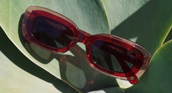 Red translucent rectangular sunglasses with dark lenses displayed on large green tropical leaves in natural sunlight.