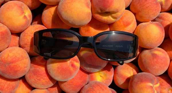 ARCHER sunglasses resting among ripe peaches in warm Mediterranean sunlight.