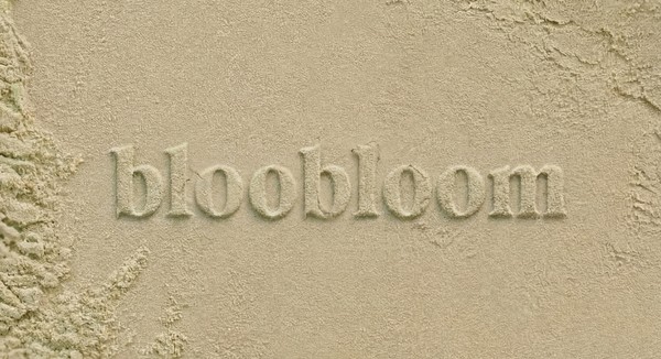 bloobloom logo pressed into textured sand